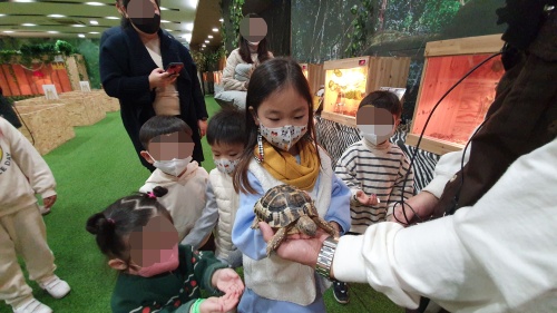 작은거북이