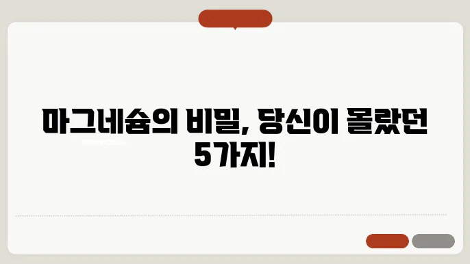 마그네슘 종류