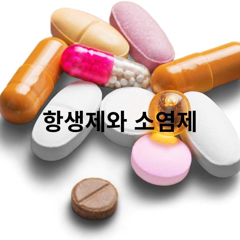 항생제와 소염제 차이 완벽 정리