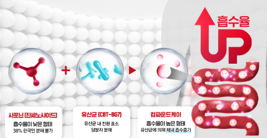 컴파운드 케이 흡수