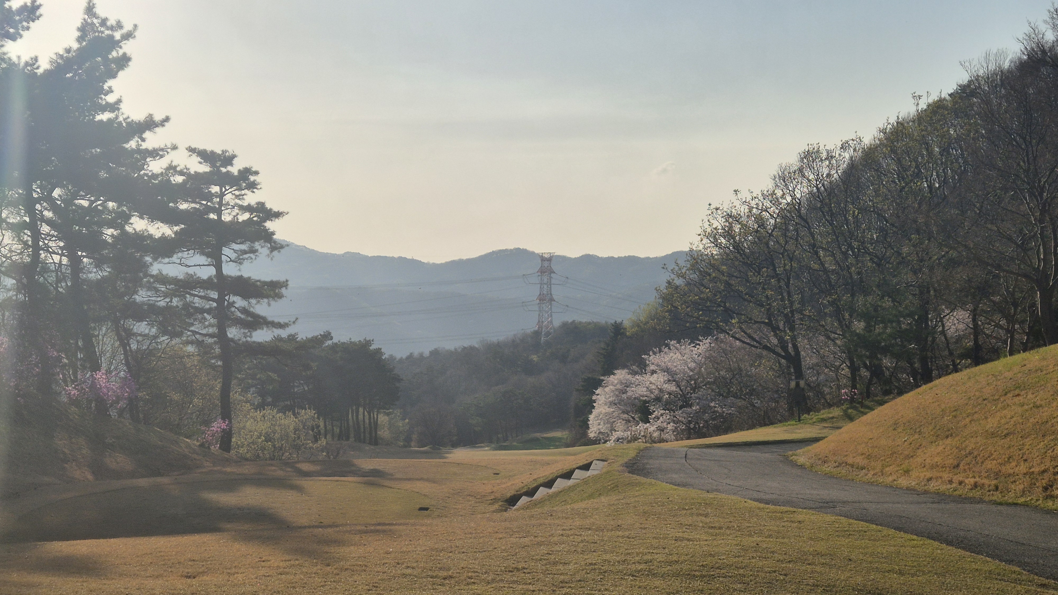 안성베네스트gc 동-남 코스 사진 및 공략 정보
