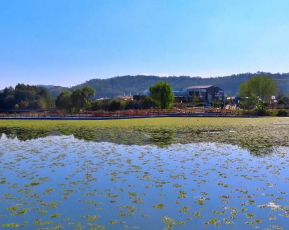 충주 가볼만한곳 베스트10