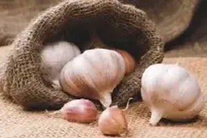 마늘