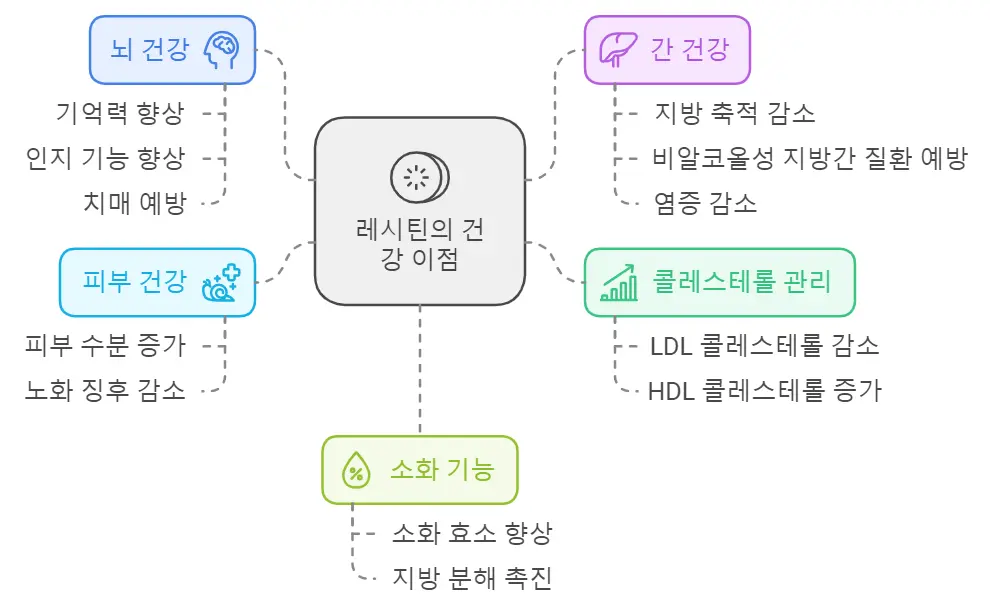 레시틴 효능