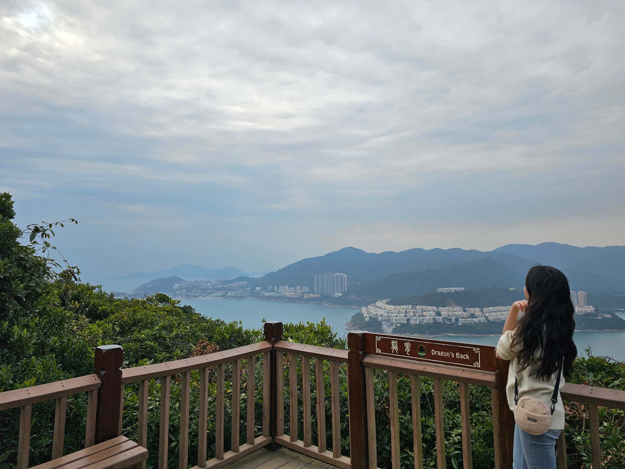 드래곤즈 백 후기