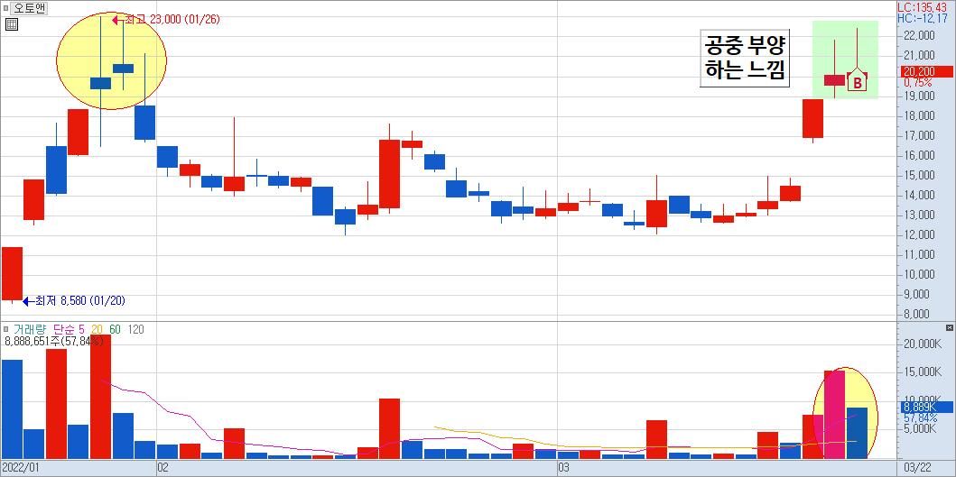 오토앤의 일봉 차트