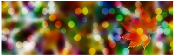 Colors