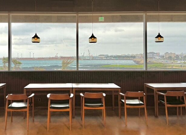 2025 제주도 웨이뷰 메밀꽃밭 축제, 웨이뷰에서 사랑하는 사람들과 행복한 시간을 보내세요!