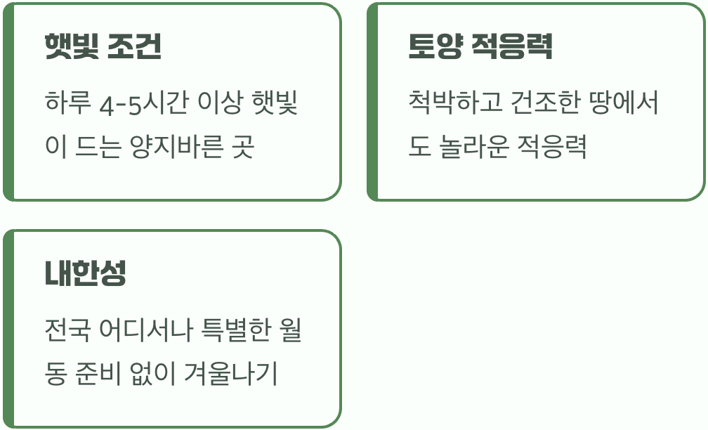 황금빛을 위한 최고의 명당