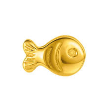 2026 콩알금 오늘 시세 실시간 확인법