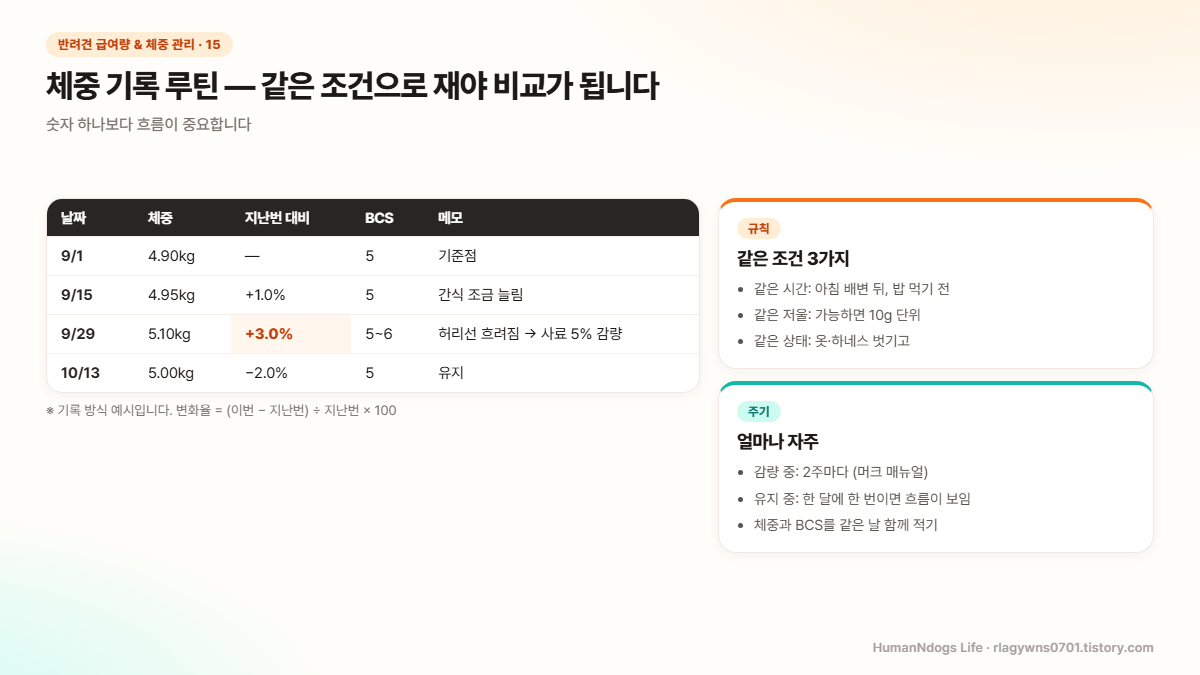 날짜, 체중, 지난번 대비 변화율, BCS, 메모 칸으로 된 체중 기록표 예시와 같은 시간, 같은 저울, 같은 상태 세 가지 규칙