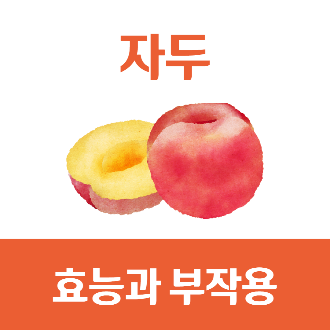 자두 효능 부작용