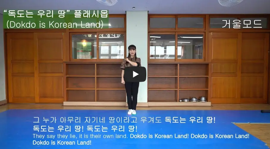 독도는 우리땅 플래시몹 거울모드