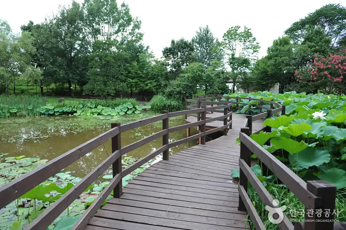 한국도로공사 수목원 전경 이미지