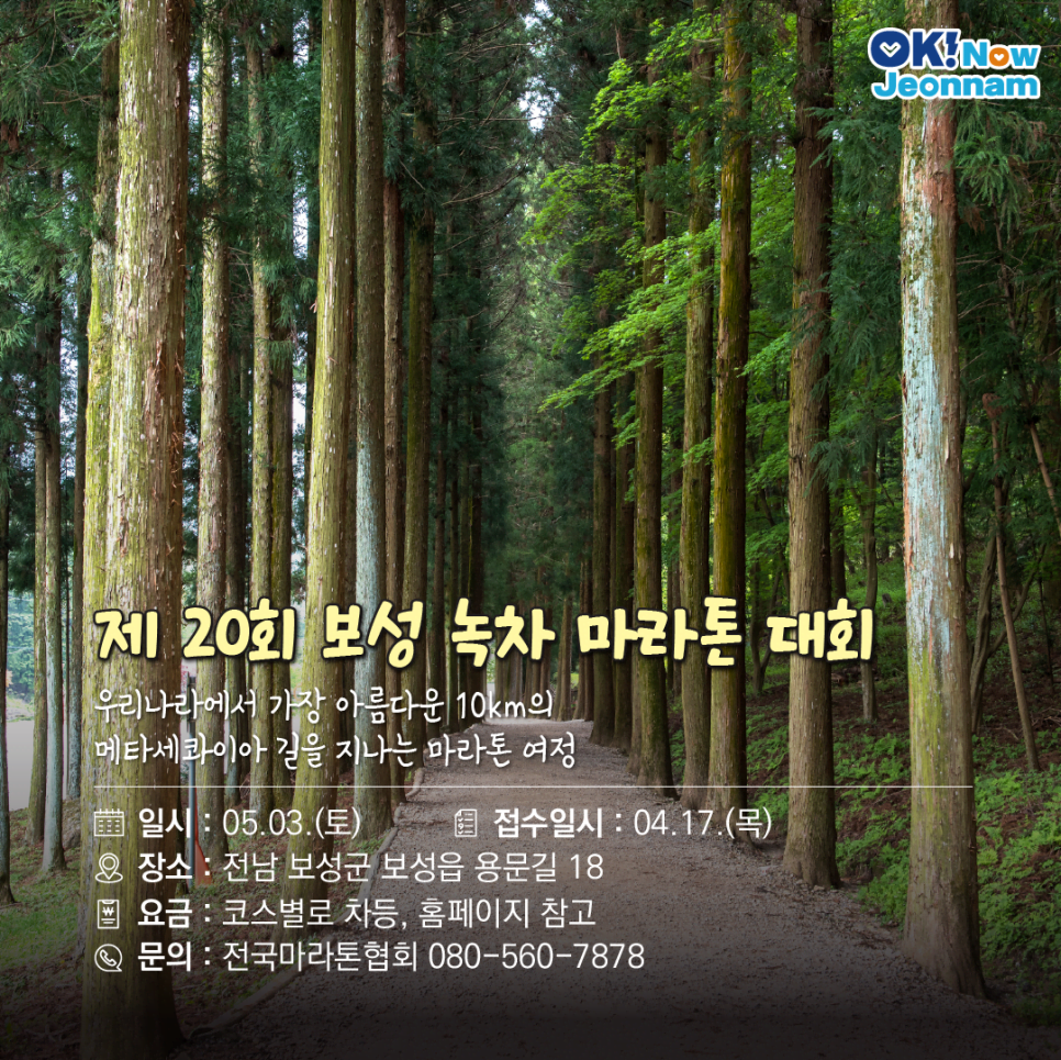 전남 봄 걷기 축제 &amp; 마라톤 총정리｜2025년 봄 여행 추천