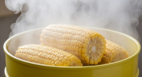 찜기에서 피어오르는 김과 함께 초당옥수수가 보이는 모습