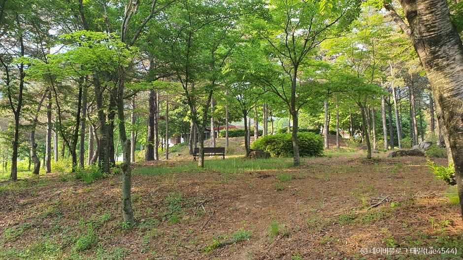 상주 가볼만한곳 베스트10