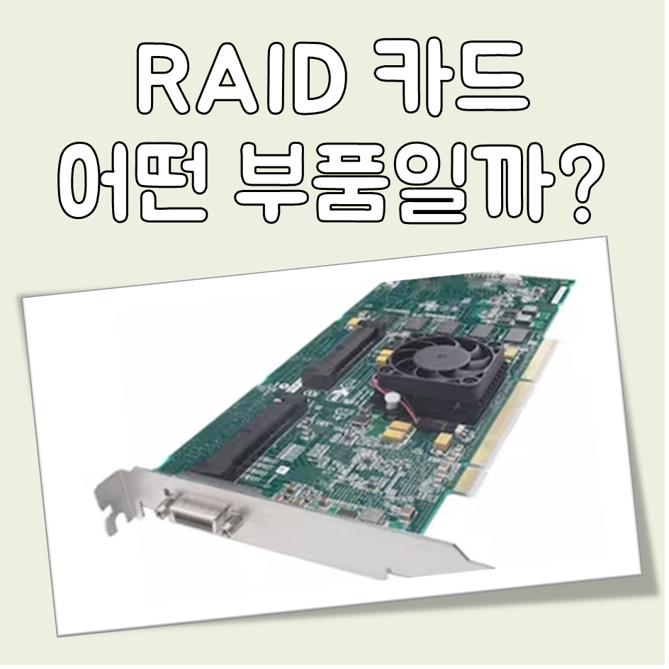 RAID 카드 뜻