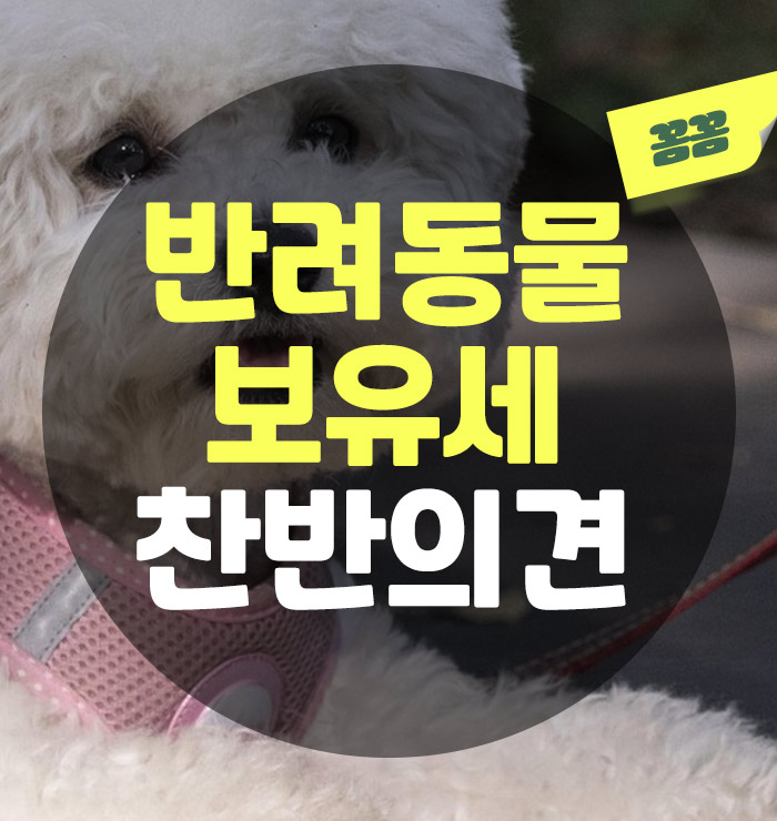 반려동물 보유세