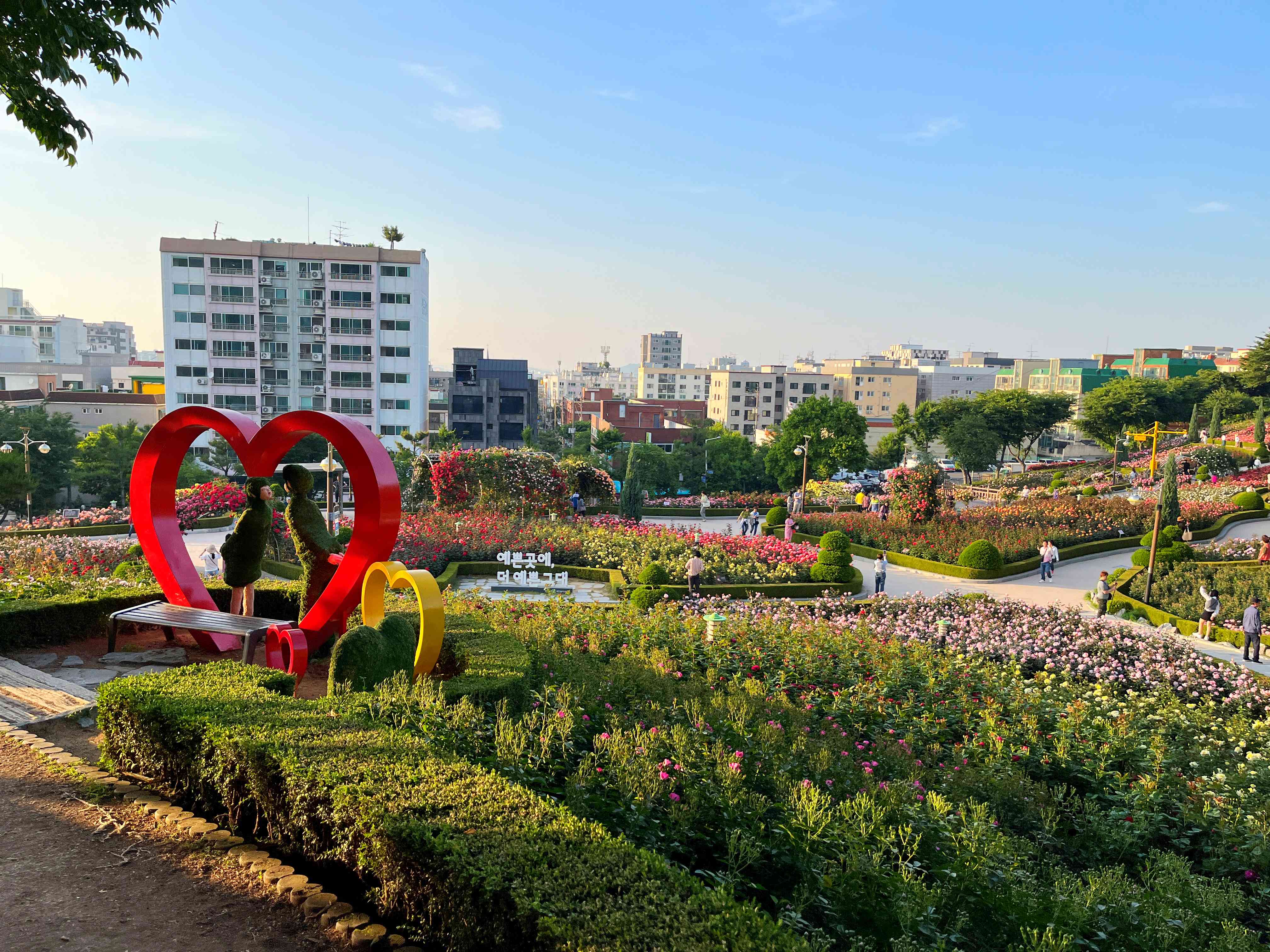부천 백만송이 장미
