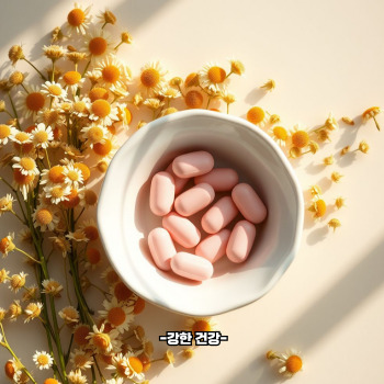 프로바이오틱스 효능