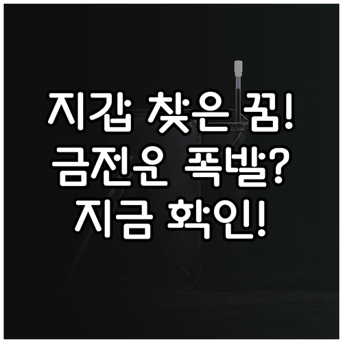 잃어버린 지갑 되찾는 꿈 의미와 상황..