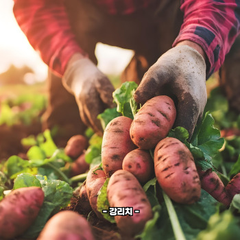 루테인 많은 음식