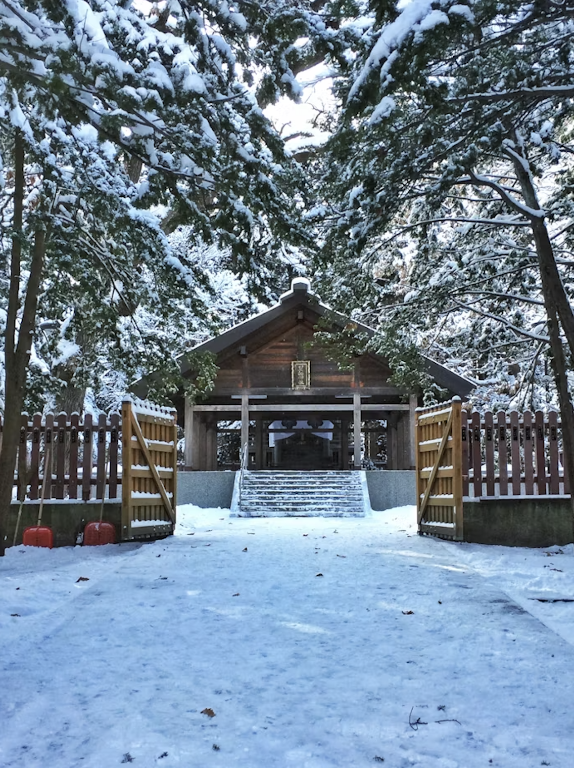 일본 삿포로 1-4