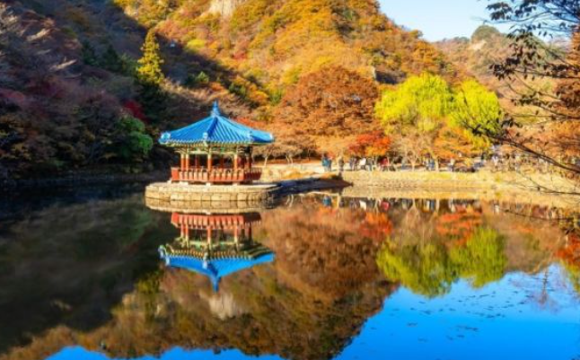 2025 내장산 단풍 절정시기 &amp; 난이도별 등산코스 TOP 5 완벽 정리