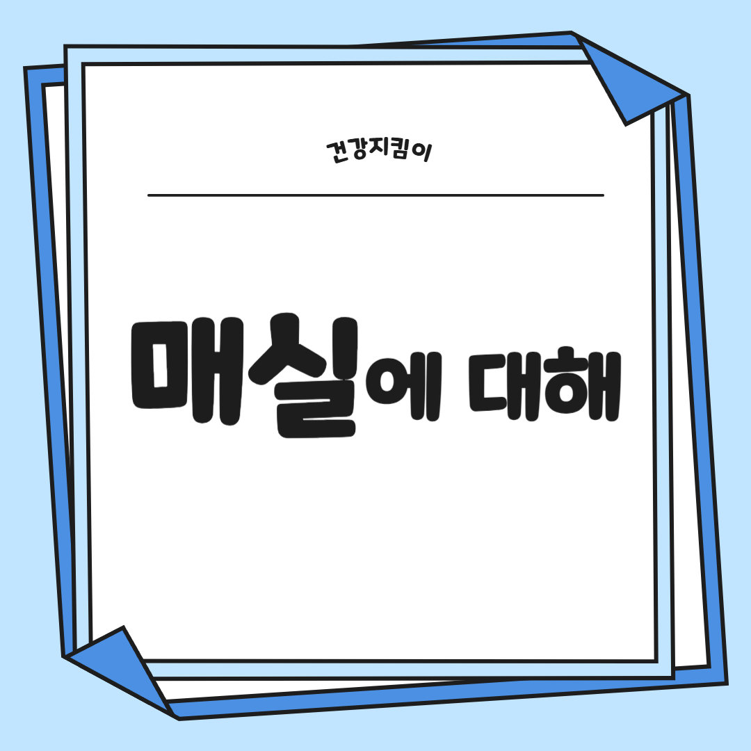 매실 효능과 부작용 고르는법 칼로리