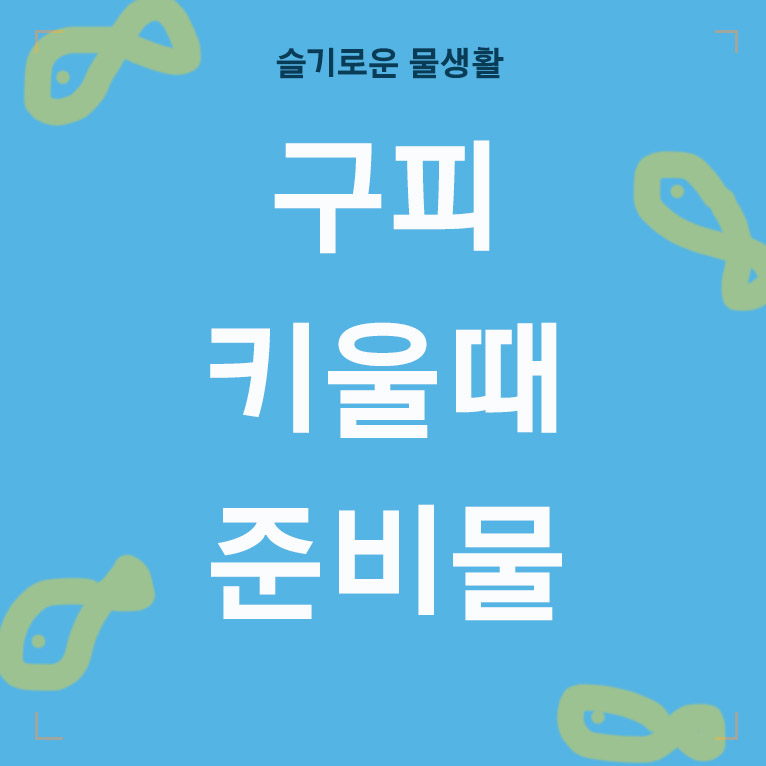 구피 키울때 준비물 글씨 섬네일