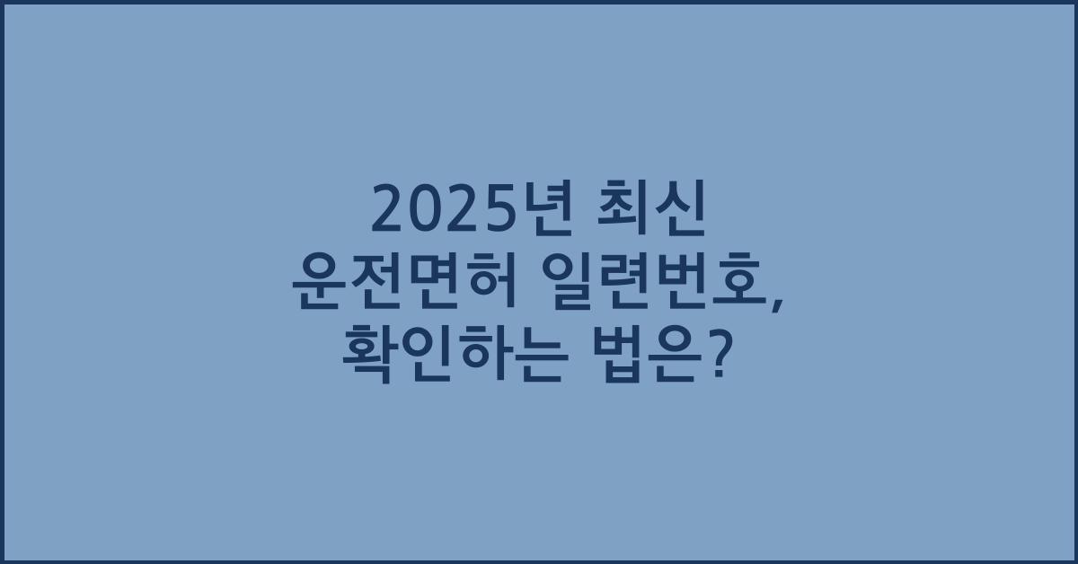 2025년 최신 운전면허 일련번호