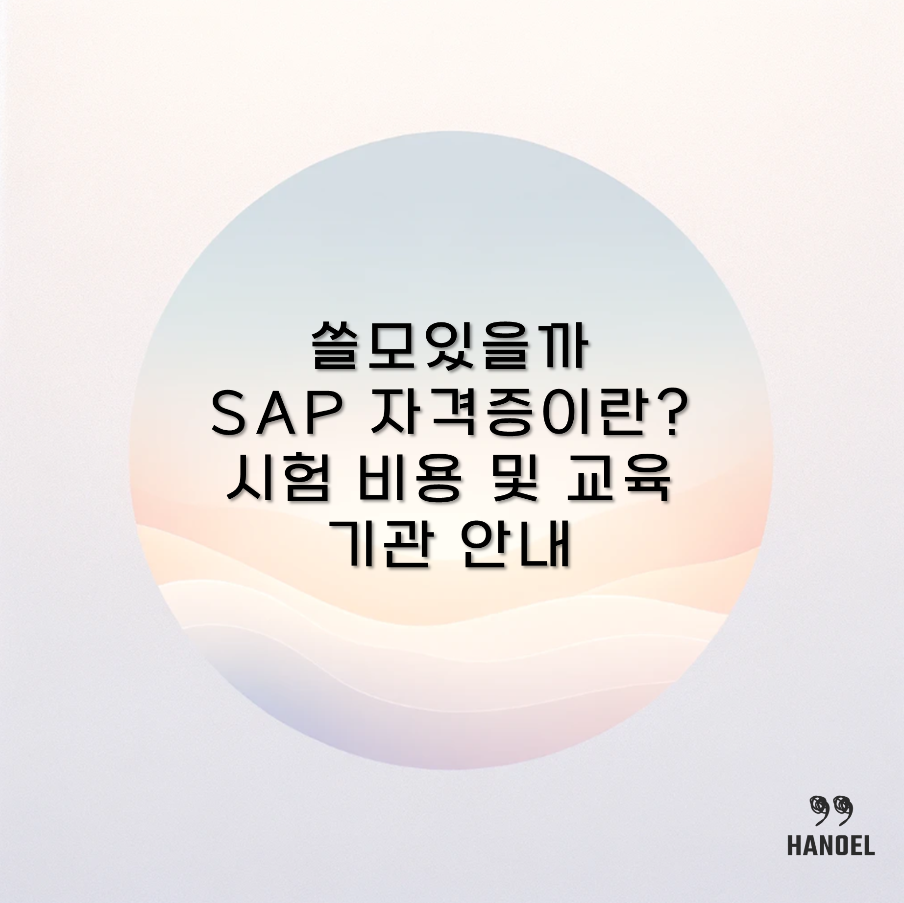쓸모있을까 SAP 자격증이란? 시험 비용 및 교육 기관 안내