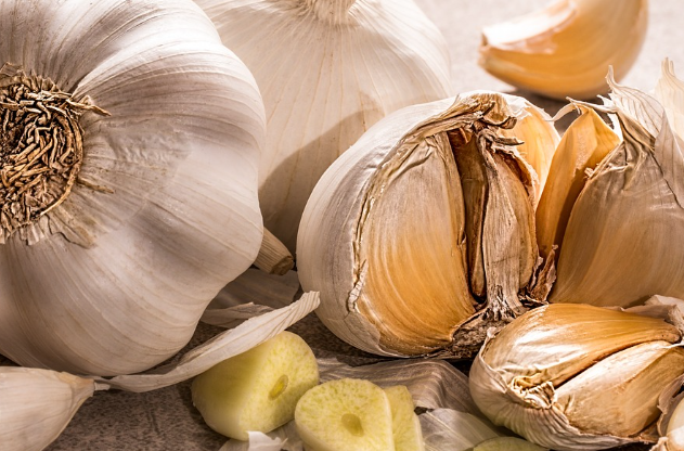항바이러스성분을함유한 마늘