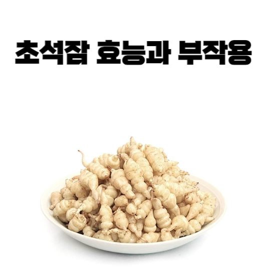 초석잠 효능과 부작용