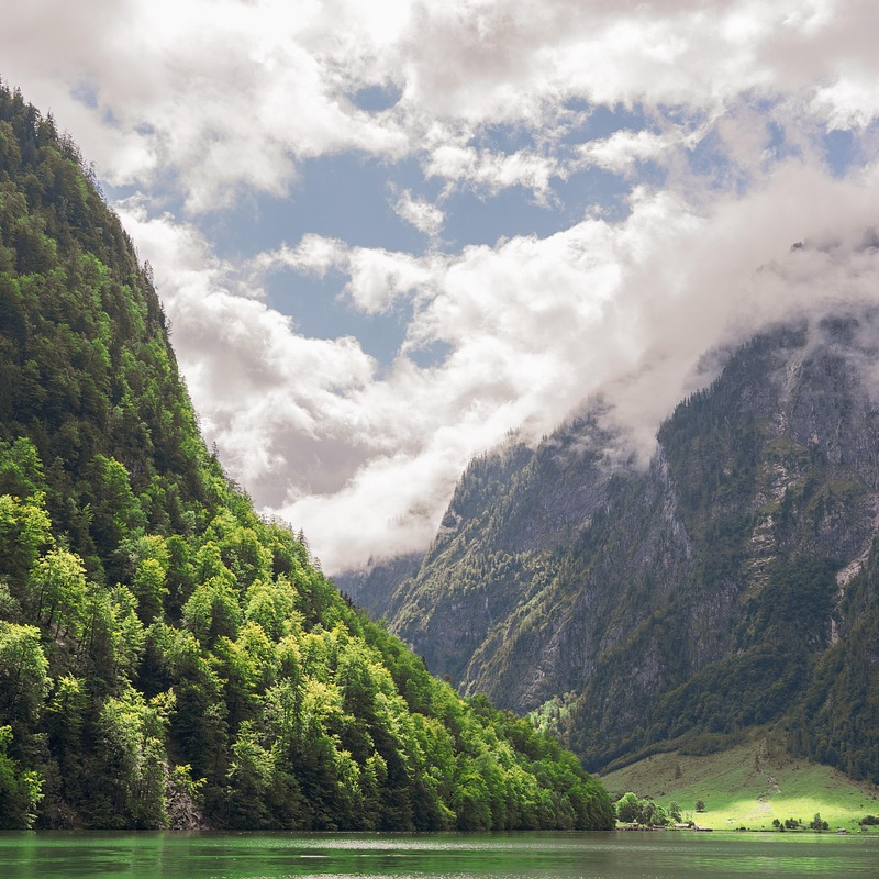 대장내시경 비용 분석