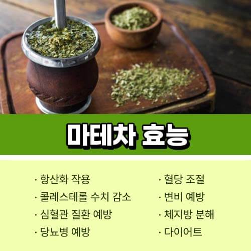 마테차_효능