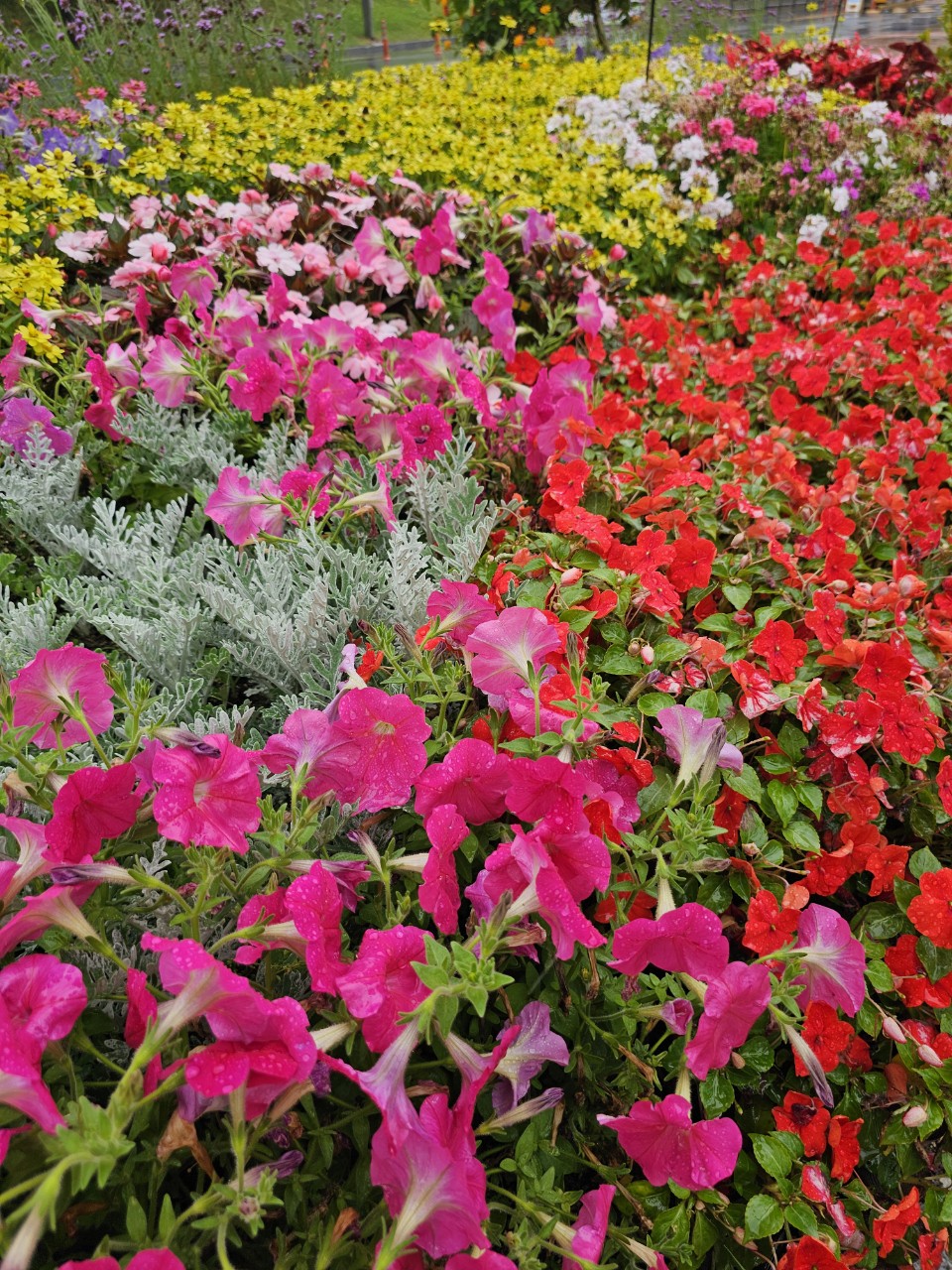 부산 장애인 복지제도