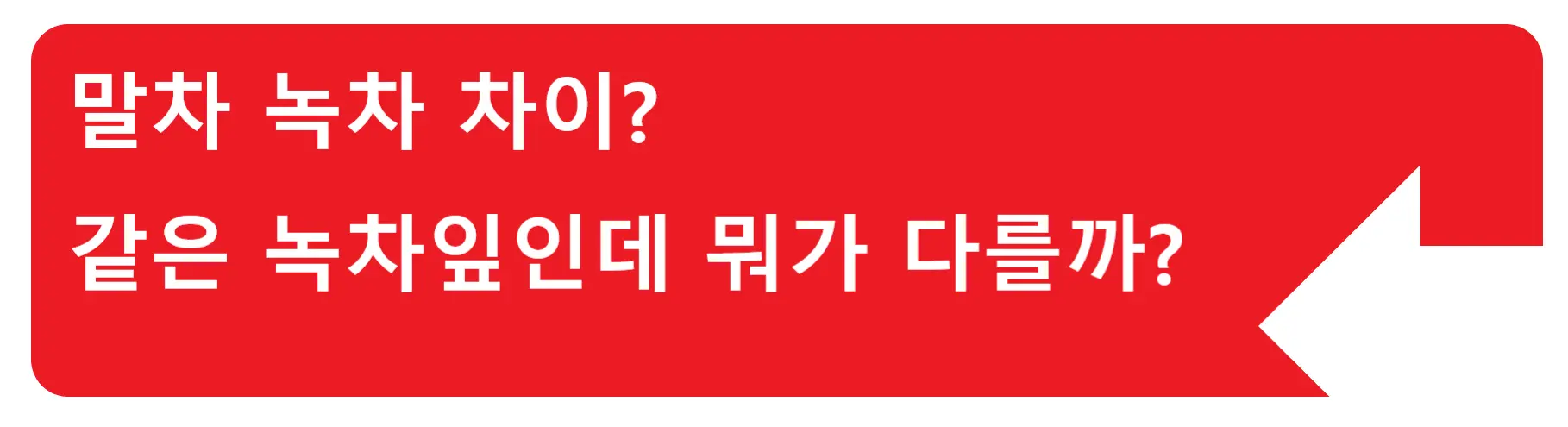 도토리 상수리 차이점? 비슷하게 생겼는데 다 도토리 아닌가요?