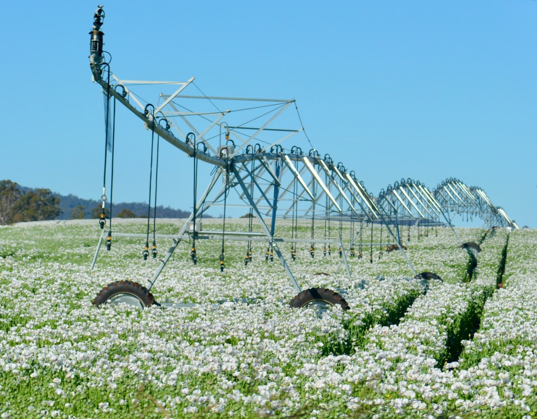 Irrigation