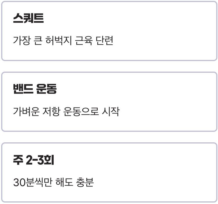 '유산소'만? 진짜 답은 '근력 운동'에