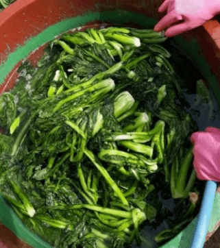 갓김치 맛있게 만드는 방법