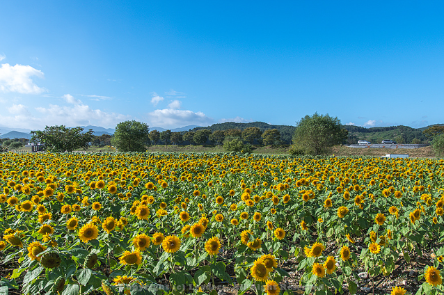 장성 정착 리얼 가이드— 광주 인접 도시의 실제 주거·생활 기반을 정리한 현실 분석