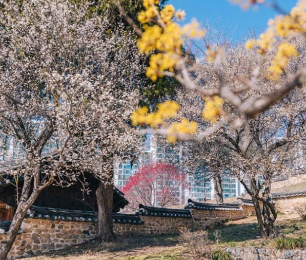 대전 가볼만한곳 베스트10