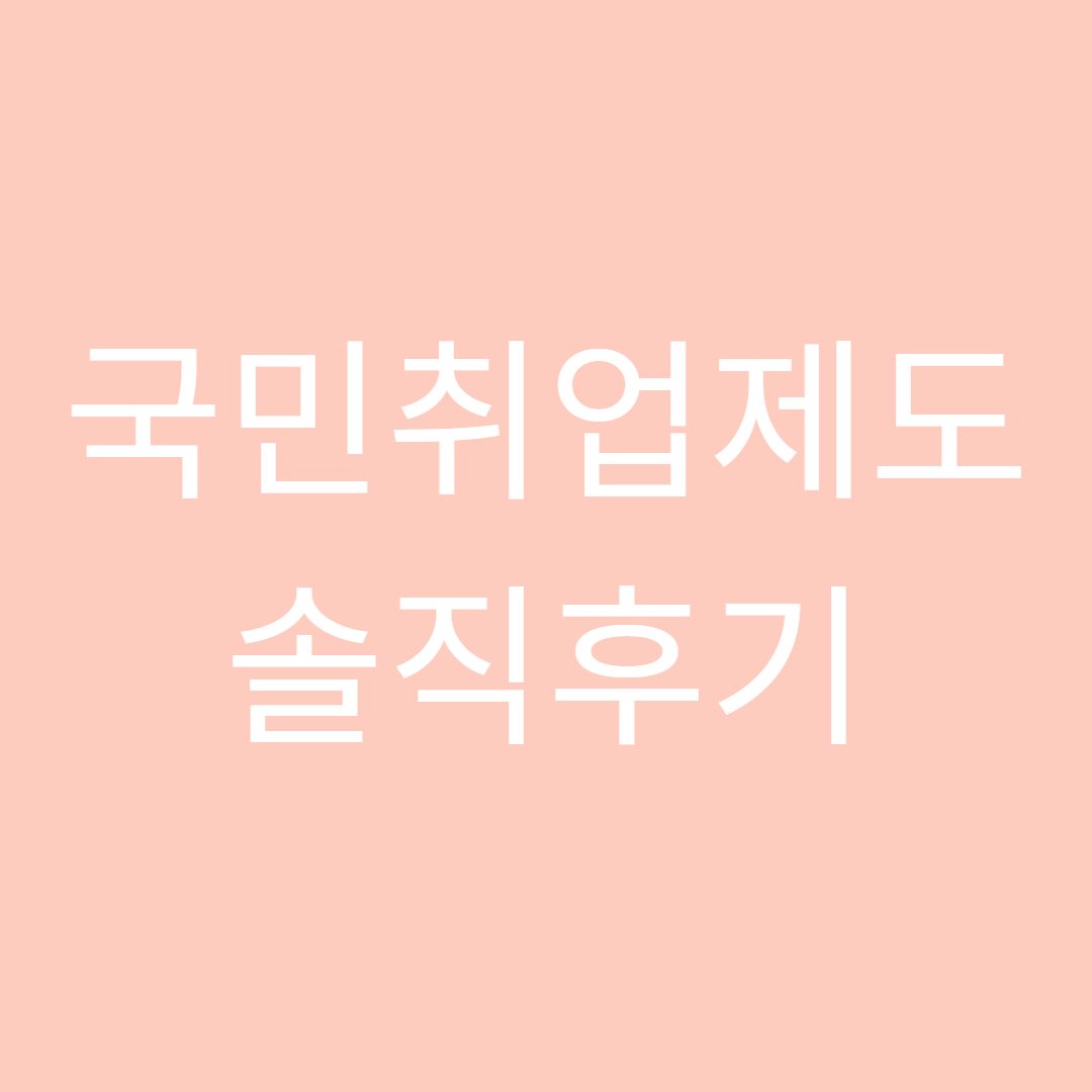 국민취업제도 1유형 솔직 후기