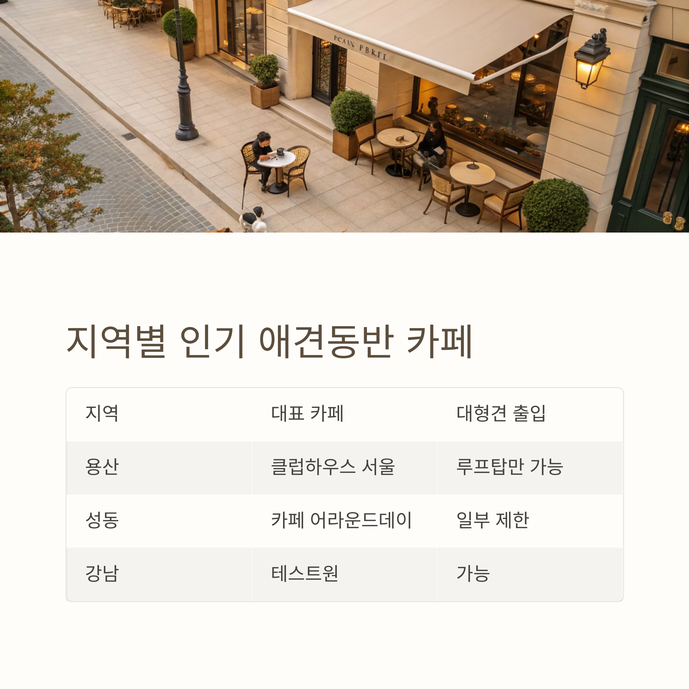 지역별 인기 애견동반 카페
