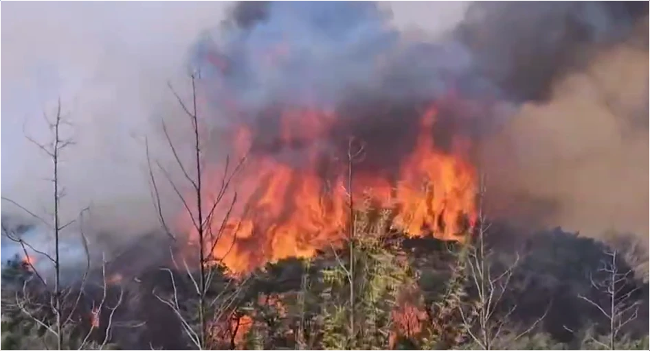 경북-산불-피해