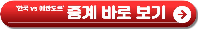 한국 에콰도르 축구