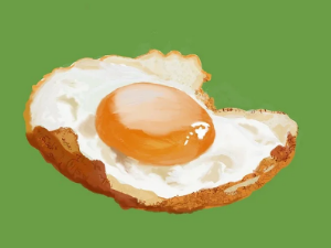 콜레스테롤 높은 음식