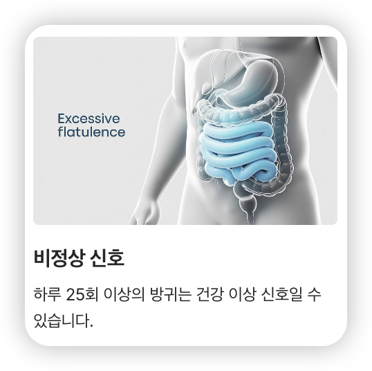 방귀가-자주-나오는-증상-사람-배-내부-모습